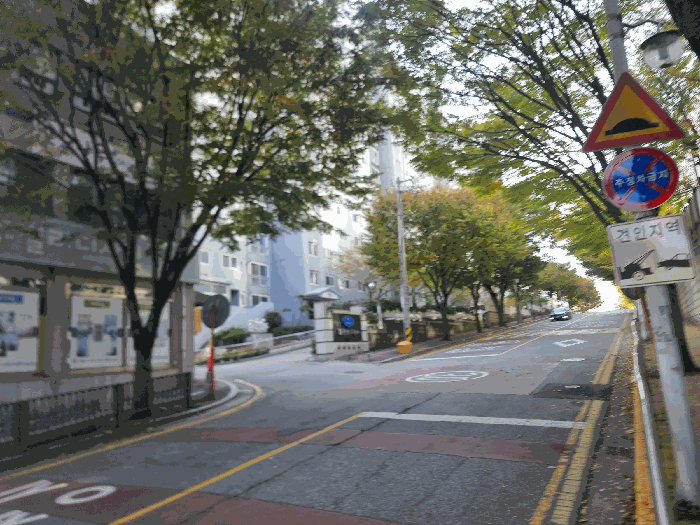 사진 5