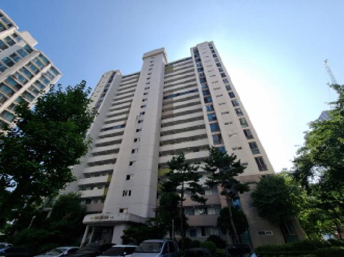 사진 13