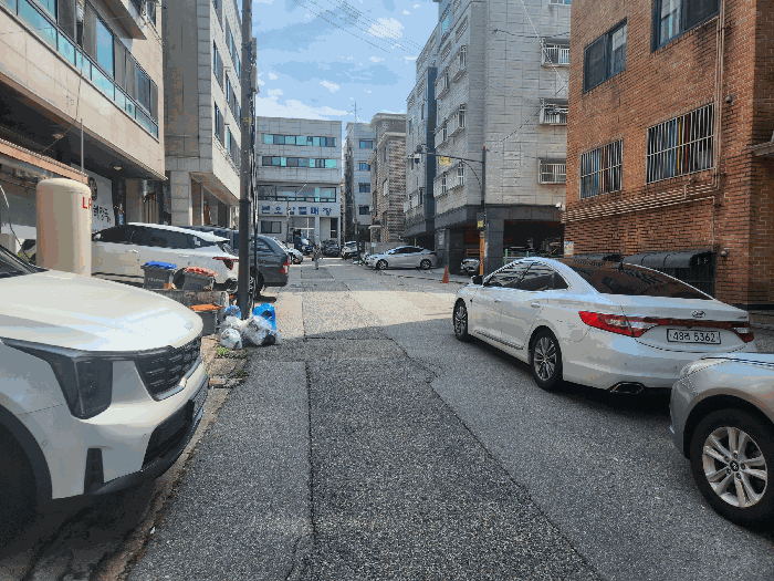 사진 13