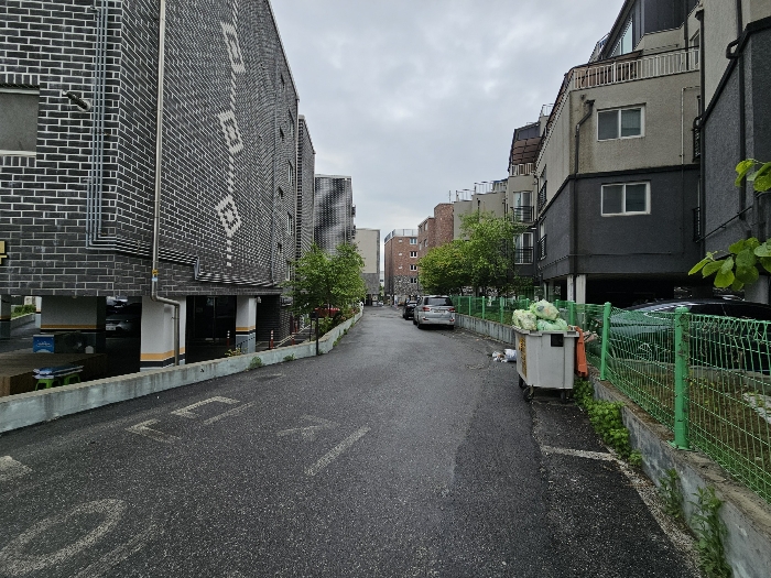 사진 51