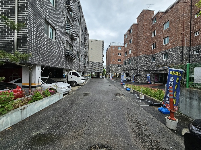 사진 65