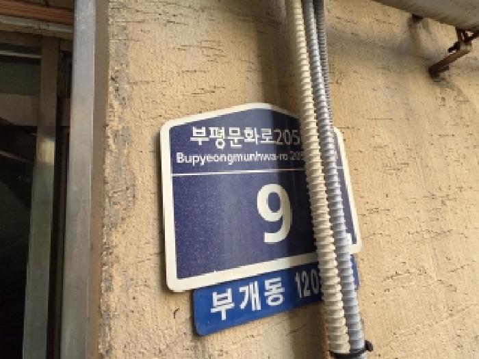 사진 12
