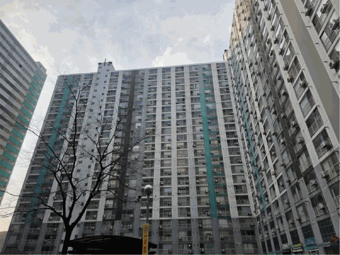 사진 5