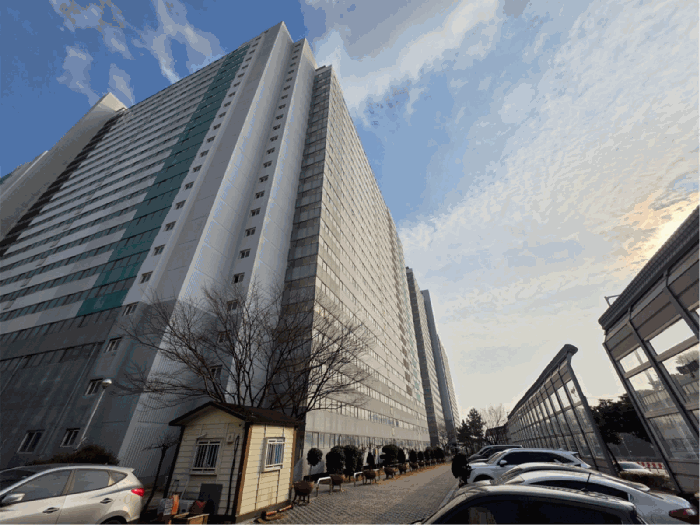 사진 8