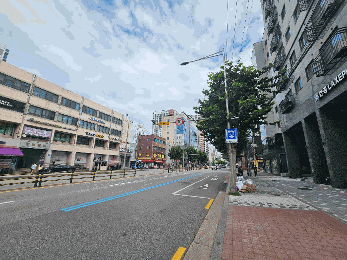 사진 7