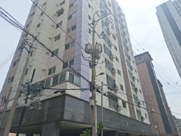 사진 1