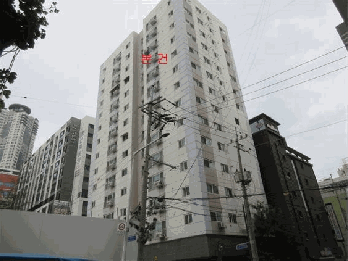 사진 8