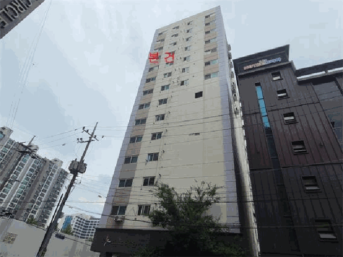 사진 9