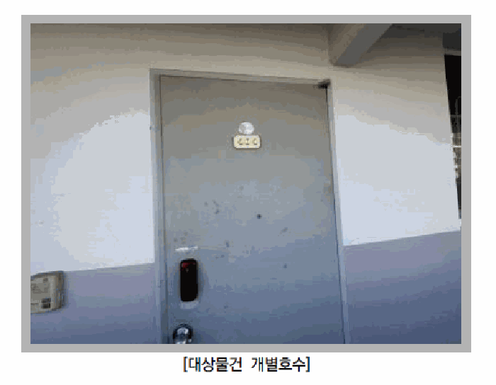 사진 10