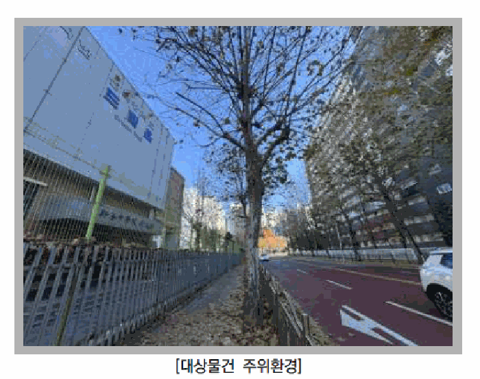 사진 11