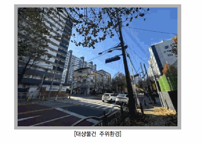 사진 12