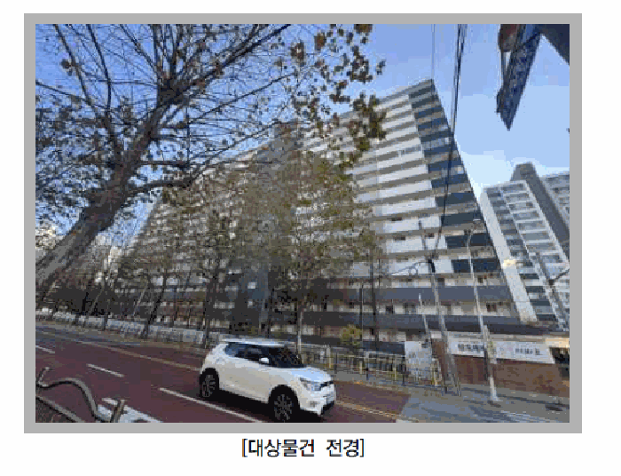 사진 8