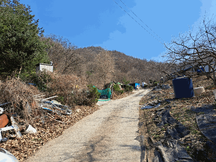 사진 1