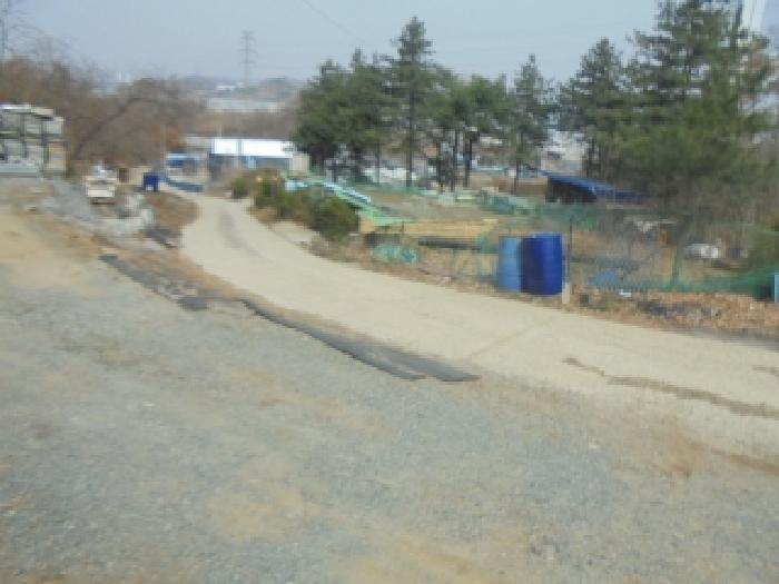 사진 3