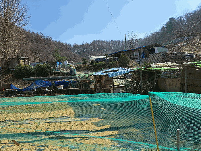 사진 24