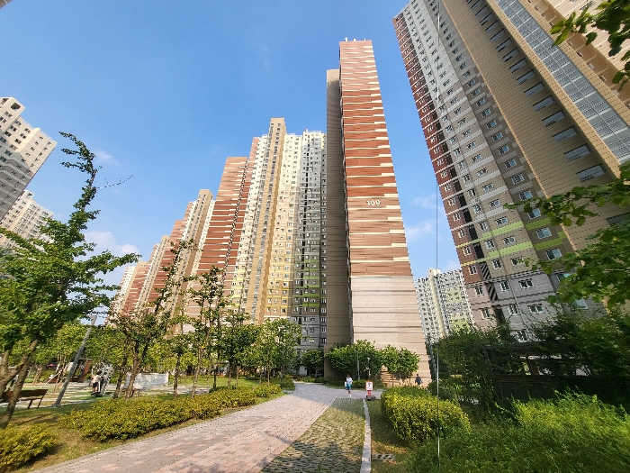 사진 5