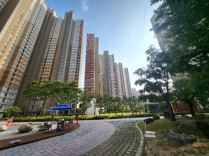 사진 6