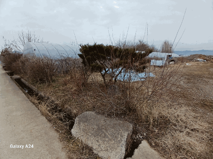 사진 14