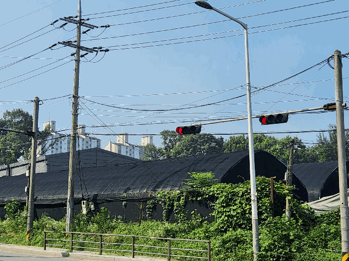 사진 15