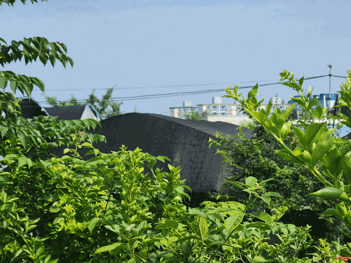 사진 16