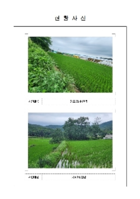 사진 6