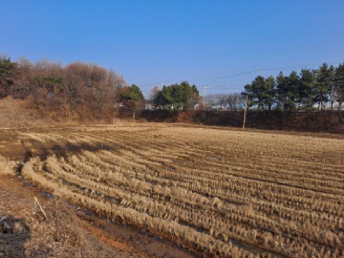 사진 6