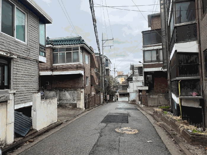 사진 7