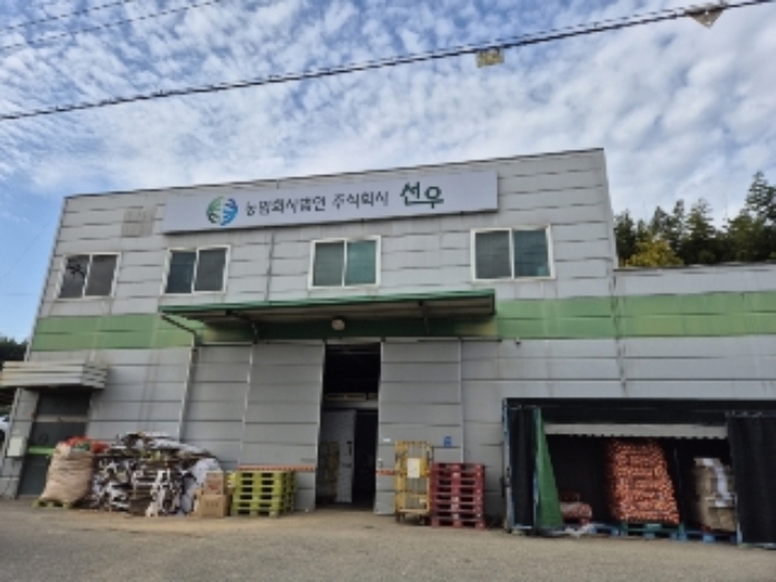 사진 2