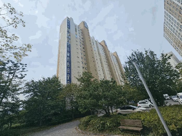 사진 3