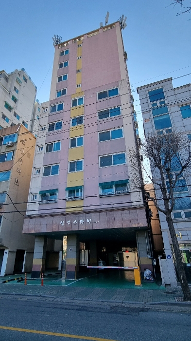 사진 1