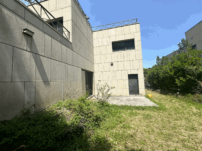 사진 12