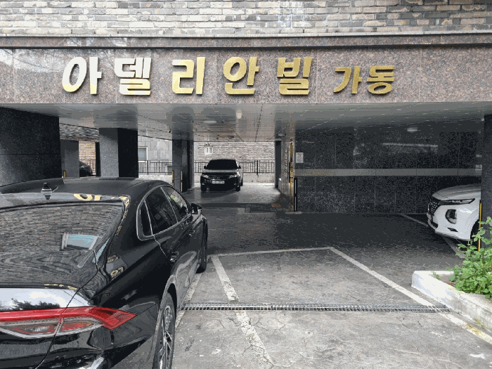 사진 6