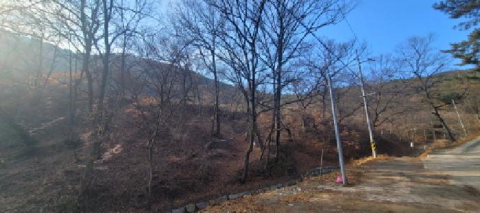 사진 13