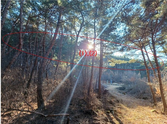사진 1