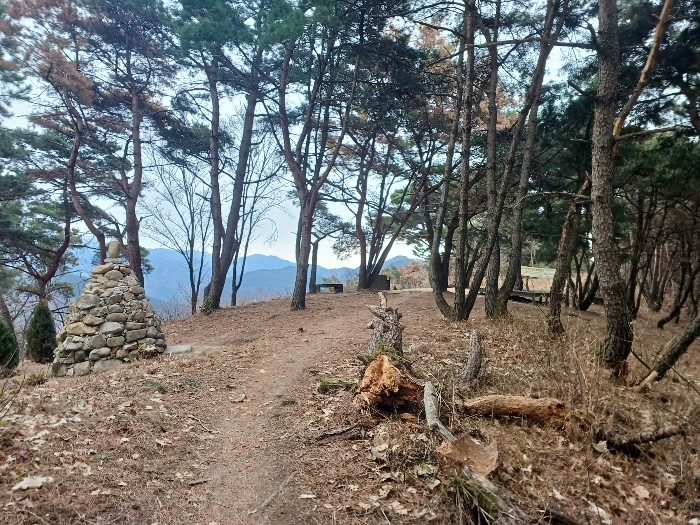 사진 5