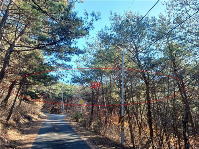 사진 6