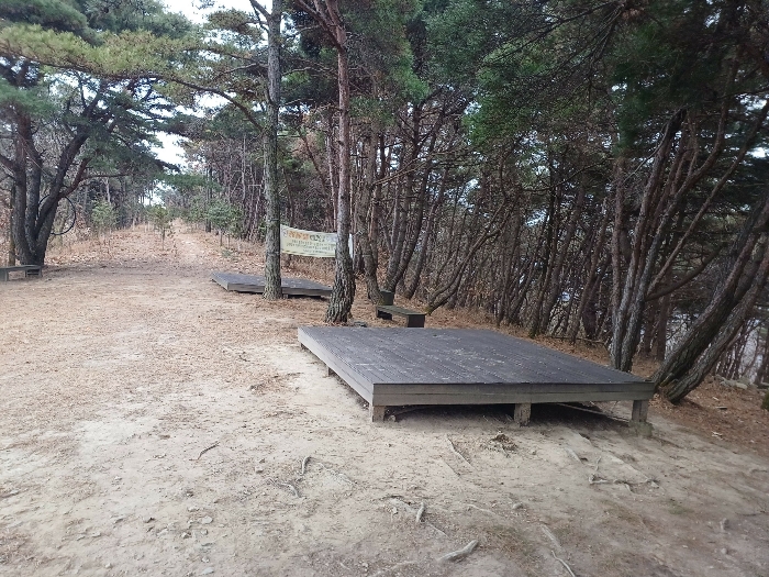 사진 9
