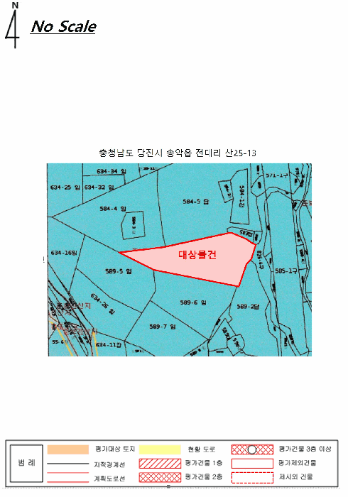 사진 11