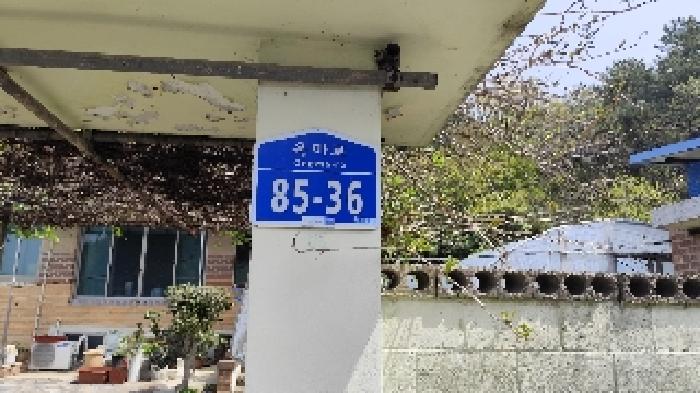 사진 1