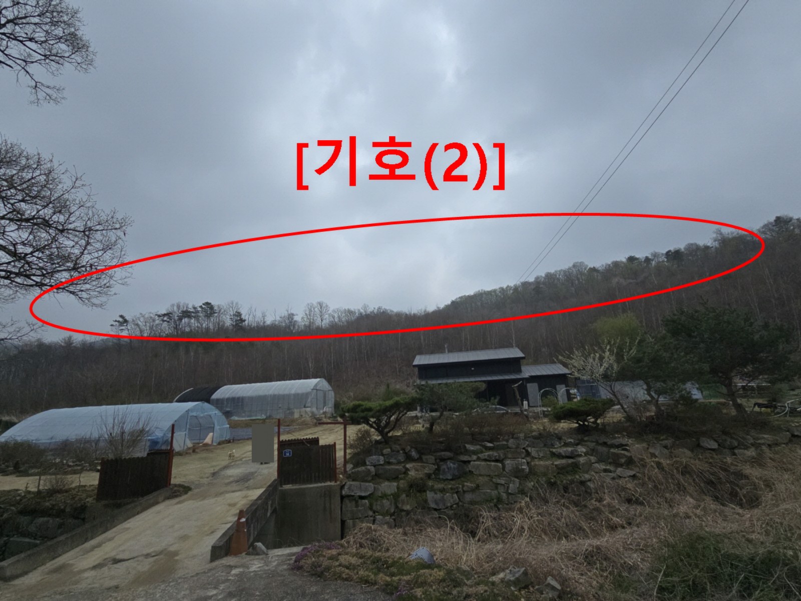 사진 1