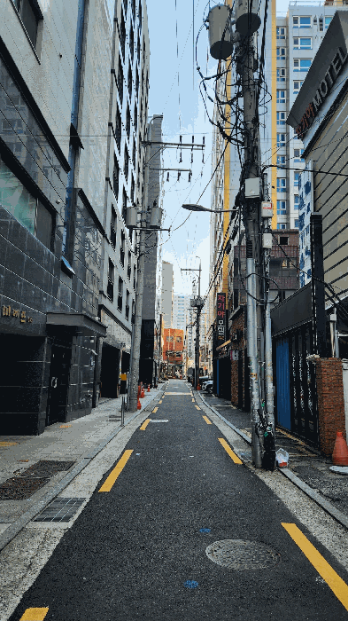 사진 12