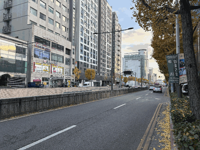 사진 11