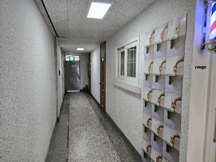 사진 13