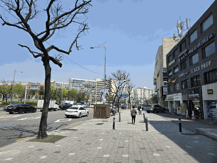 사진 6