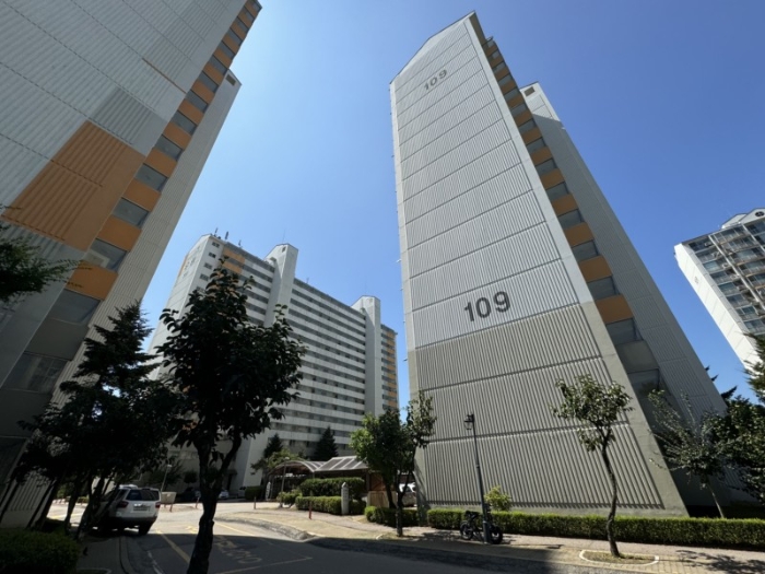 사진 7
