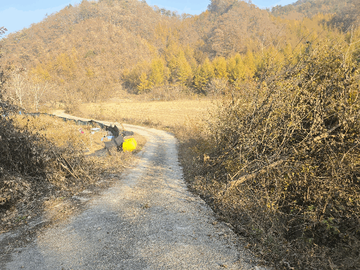 사진 7