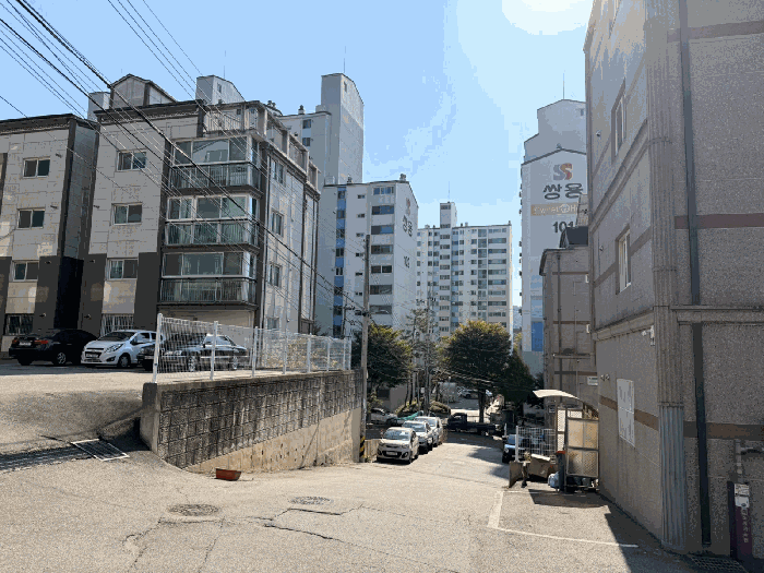사진 7