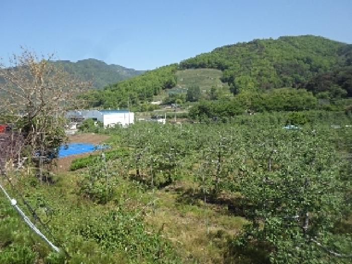 사진 1