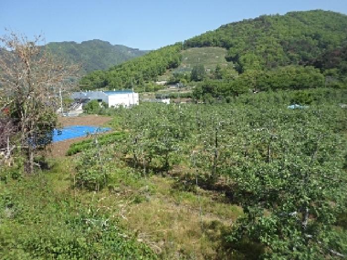 사진 6