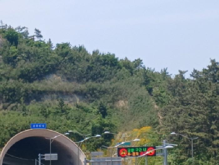 사진 1